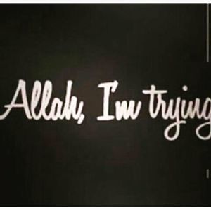 Meet your Posher, Shatiera